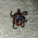 10/20/2023 - _42A3940.jpg
