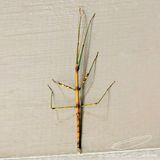 10/23/2023 - _42A3959.jpg