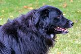 10/25/2023 - _42A3978.jpg