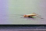 11/07/2023 - _42A4141.jpg