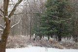 11/27/2023 - _42A4239.jpg