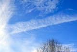 11/30/2023 - _42A4259.jpg