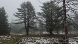 12/02/2023 - LRM-130437.jpg