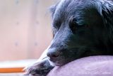 12/26/2023 - _42A4392.jpg