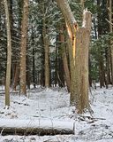 01/11/2024 - LRM-105553.jpg