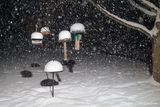 01/16/2024 - _42A4502.jpg