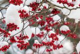 01/18/2024 - _42A4517.jpg