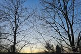02/04/2024 - LRM-172728.jpg