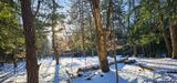 02/19/2024 - LRM-162251.jpg