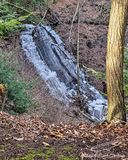 03/01/2024 - LRM-160016.jpg
