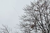 03/02/2024 - LRM-165548.jpg