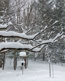 03/20/2024 - _42A4903.jpg
