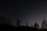 03/28/2024 - _42A5031.jpg
