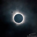 04/08/2024 - _42A5262.jpg