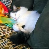 04/20/2024 - LRM-001.jpg