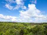 06/09/2024 - DJI_0398.jpg