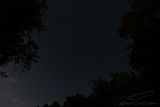 06/14/2024 - _42A6307.jpg