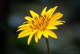 07/17/2024 - _42A7238.jpg