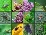 08/05/2024 - Montage.jpg
