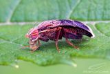 08/21/2024 - _42A8068.jpg