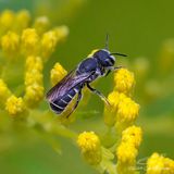 08/23/2024 - _42A8137.jpg
