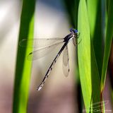 08/25/2024 - _42A8223.jpg