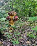 09/15/2024 - _070053.jpg