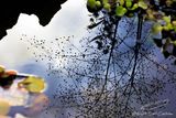 10/07/2024 - _42A8928.jpg