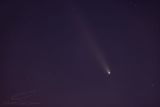 10/17/2024 - _42A9146-Enhanced-NR.jpg