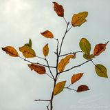 10/31/2024 - _42A0014.jpg
