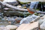 11/08/2024 - _42A0054.jpg