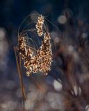11/09/2024 - _42A0079.jpg