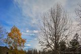 11/10/2024 - LRM-080815.jpg