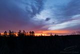 11/14/2024 - DJI_0488.jpg