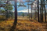11/18/2024 - LRM-101440.jpg