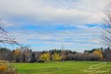 11/21/2024 - LRM-102312.jpg