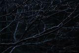 11/22/2024 - _42A9914.jpg