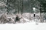 11/30/2024 - _N9A2972.jpg