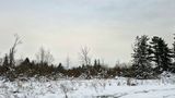 12/04/2024 - LRM-154345.jpg