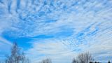 12/10/2024 - LRM-105839.jpg