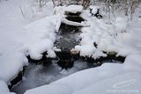 12/22/2024 - LRM-073940.jpg