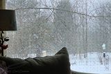 01/07/2025 - LRM-124223.jpg