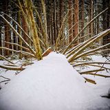 01/12/2025 - LRM-113026.jpg