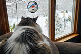 01/14/2025 - LRM-093742.jpg