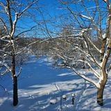 01/22/2025 - LRM-100527.jpg