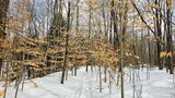 02/04/2025 - LRM-115202.jpg