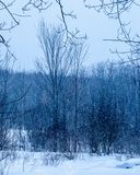02/19/2025 - 3T7A3369.jpg