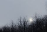 02/23/2025 - 3T7A3375.jpg