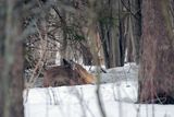 02/25/2025 - _42A0397.jpg