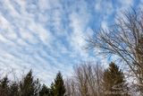03/09/2025 - 3T7A3474.jpg
